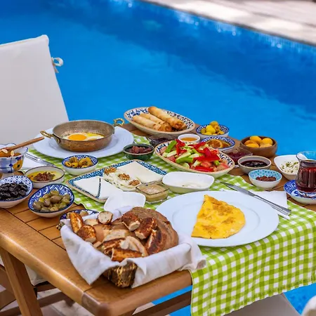 酒店 阿拉卡提巴尔巴德姆酒店